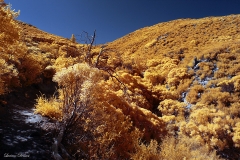 Anza-Borrego Desert, San Diego, California