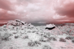 Anza-Borrego Desert, San Diego, California