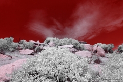 Anza-Borrego Desert, San Diego, California