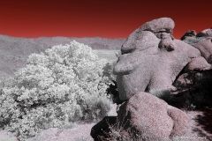 Anza-Borrego Desert, San Diego, California