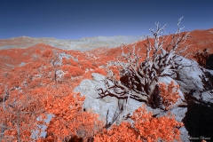 Anza-Borrego Desert, San Diego, California
