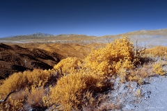 Anza-Borrego Desert, San Diego, California