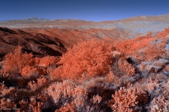 Anza-Borrego Desert, San Diego, California