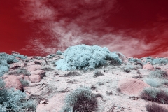 Anza-Borrego Desert, San Diego, California