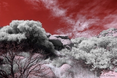 Anza-Borrego Desert, San Diego, California