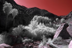 Anza-Borrego Desert, San Diego, California