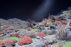 Anza-Borrego Desert, San Diego, California