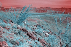 Anza-Borrego Desert, San Diego, California