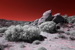 Anza-Borrego Desert, San Diego, California