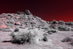 Anza-Borrego Desert, San Diego, California