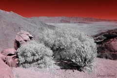 Anza-Borrego Desert, San Diego, California