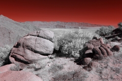 Anza-Borrego Desert, San Diego, California