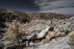 INFRARED_ANZA_BORREGO_695_DEC_01_2019-100_FINAL_06