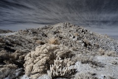 INFRARED_ANZA_BORREGO_695_DEC_01_2019-108_FINAL_06