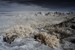 INFRARED_ANZA_BORREGO_695_DEC_01_2019-121_FINAL_06