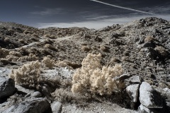 INFRARED_ANZA_BORREGO_695_DEC_01_2019-128_FINAL_06
