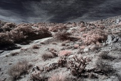 INFRARED_ANZA_BORREGO_695_DEC_01_2019-14_FINAL_10