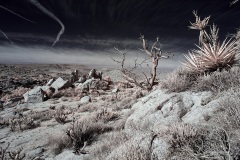 INFRARED_ANZA_BORREGO_695_DEC_01_2019-151_FINAL_10