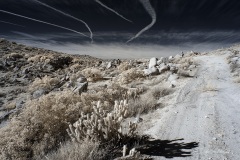 INFRARED_ANZA_BORREGO_695_DEC_01_2019-157_FINAL_06