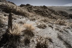 INFRARED_ANZA_BORREGO_695_DEC_01_2019-169_FINAL_06