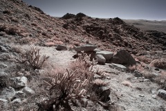 INFRARED_ANZA_BORREGO_695_DEC_01_2019-171_FINAL_10