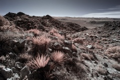 INFRARED_ANZA_BORREGO_695_DEC_01_2019-175_FINAL_10