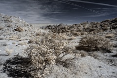 INFRARED_ANZA_BORREGO_695_DEC_01_2019-17_FINAL_06