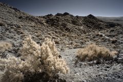 INFRARED_ANZA_BORREGO_695_DEC_01_2019-181_FINAL_06
