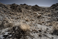 INFRARED_ANZA_BORREGO_695_DEC_01_2019-184_FINAL_06