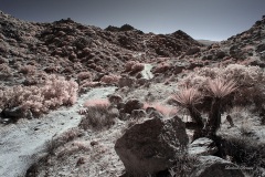 INFRARED_ANZA_BORREGO_695_DEC_01_2019-191_FINAL_10