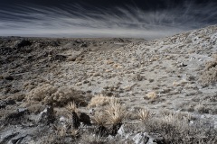 INFRARED_ANZA_BORREGO_695_DEC_01_2019-195_FINAL_06