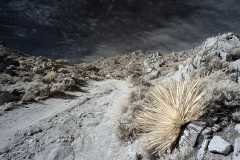 INFRARED_ANZA_BORREGO_695_DEC_01_2019-1_FINAL_06