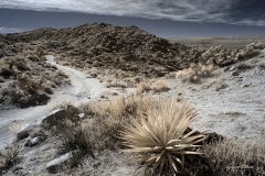 INFRARED_ANZA_BORREGO_695_DEC_01_2019-20_FINAL_06