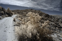 INFRARED_ANZA_BORREGO_695_DEC_01_2019-23_FINAL_06