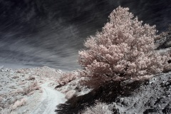 INFRARED_ANZA_BORREGO_695_DEC_01_2019-25_FINAL_10