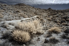 INFRARED_ANZA_BORREGO_695_DEC_01_2019-30_FINAL_06