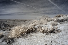 INFRARED_ANZA_BORREGO_695_DEC_01_2019-44_FINAL_06