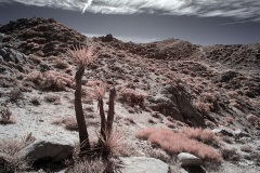 INFRARED_ANZA_BORREGO_695_DEC_01_2019-48_FINAL_10