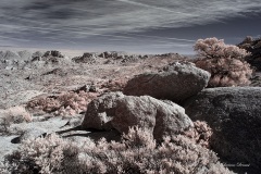 INFRARED_ANZA_BORREGO_695_DEC_01_2019-55_FINAL_10