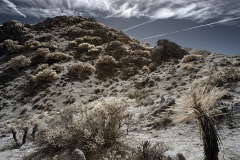 INFRARED_ANZA_BORREGO_695_DEC_01_2019-61_FINAL_06