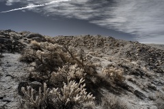 INFRARED_ANZA_BORREGO_695_DEC_01_2019-72_FINAL_06