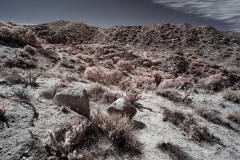 INFRARED_ANZA_BORREGO_695_DEC_01_2019-75_FINAL_10