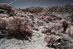 INFRARED_ANZA_BORREGO_695_DEC_01_2019-79_FINAL_10