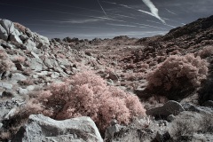 INFRARED_ANZA_BORREGO_695_DEC_01_2019-7_FINAL_10