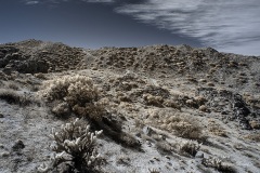 INFRARED_ANZA_BORREGO_695_DEC_01_2019-84_FINAL_06