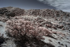 INFRARED_ANZA_BORREGO_695_DEC_01_2019-86_FINAL_10