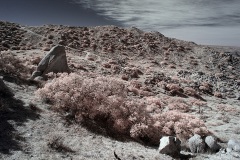 INFRARED_ANZA_BORREGO_695_DEC_01_2019-89_FINAL_10
