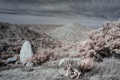 INFRARED_ANZA_BORREGO_695_DEC_01_2019-92_FINAL_10