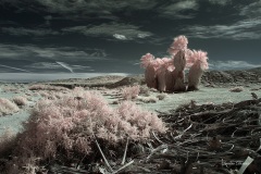 INFRARED_ANZA_BORREGO_695_MAR_03_2019-30_FINAL_10