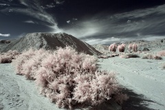 INFRARED_ANZA_BORREGO_695_MAR_03_2019-47_FINAL_10